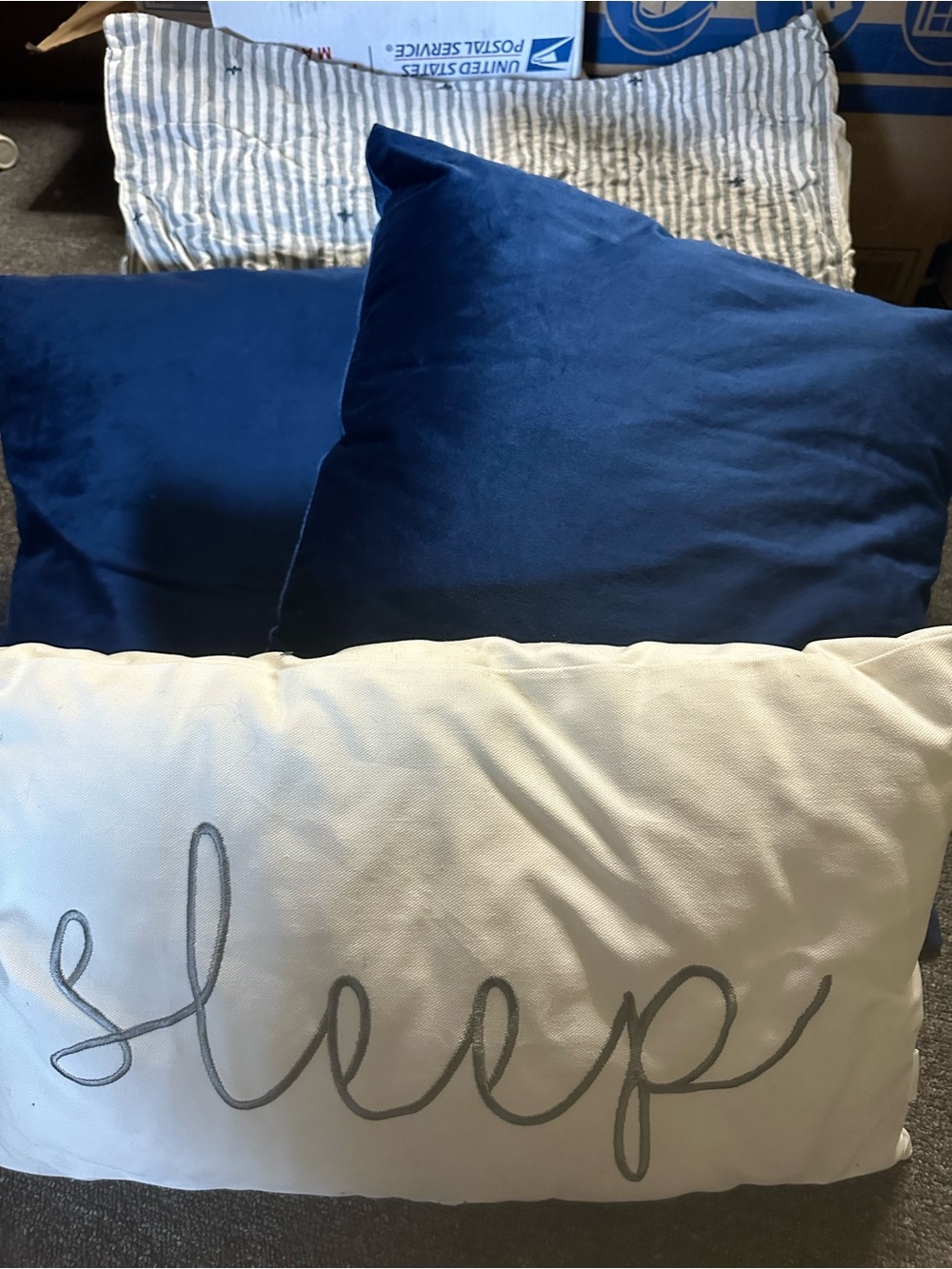 Blue Velvet Decorative Pillow Set with White 'Sleep' Accent - Home Bedding